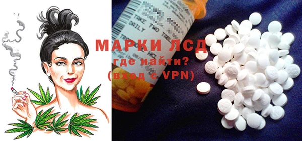 прущие грибы Михайлов