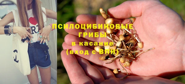 гашик Михайловка