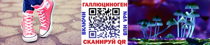 Псилоцибиновые грибы прущие грибы  Кедровый 